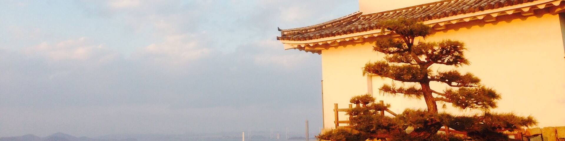 Una pagoda japonesa tradicional con un pino frente a ella, con vistas a una ciudad.