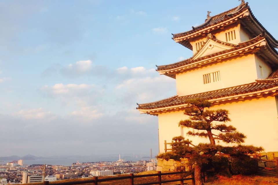 A traditional Japanese pagoda with a pine tree in front, overlooking a cityscape.