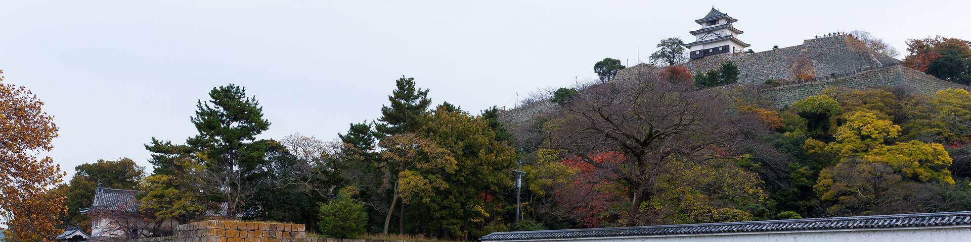 Marugame Castle