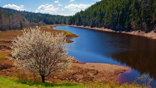 إيدجيتس لاندنج