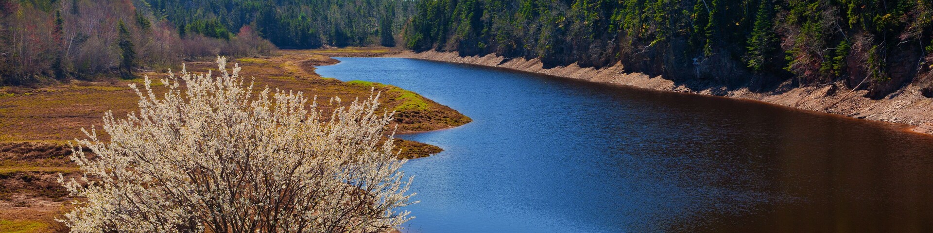 Scenic view of natural valley with trees and water at Tennycape, Nova Scotia.