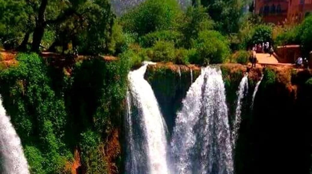 Cascade D'Ouzoud / Ouzoud Waterfalls: a beautiful sight to behold.
This is only the view from the top. It's a 3 level beauty, from below.