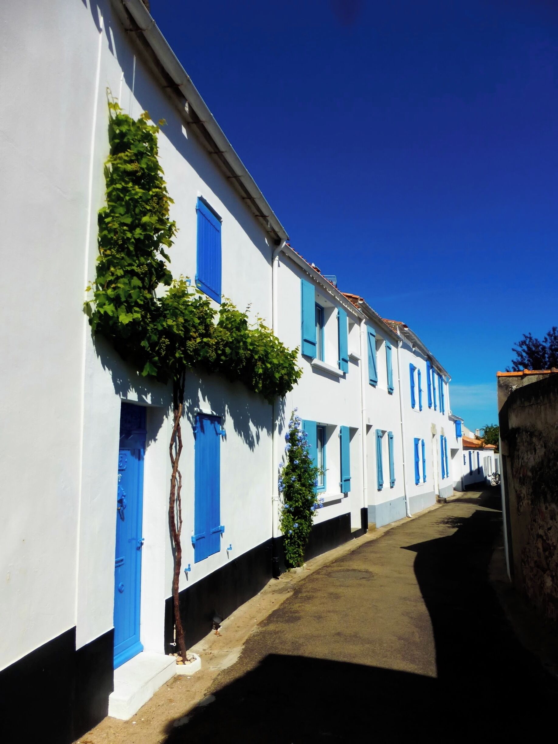 Deserted streets for a quiet wander.