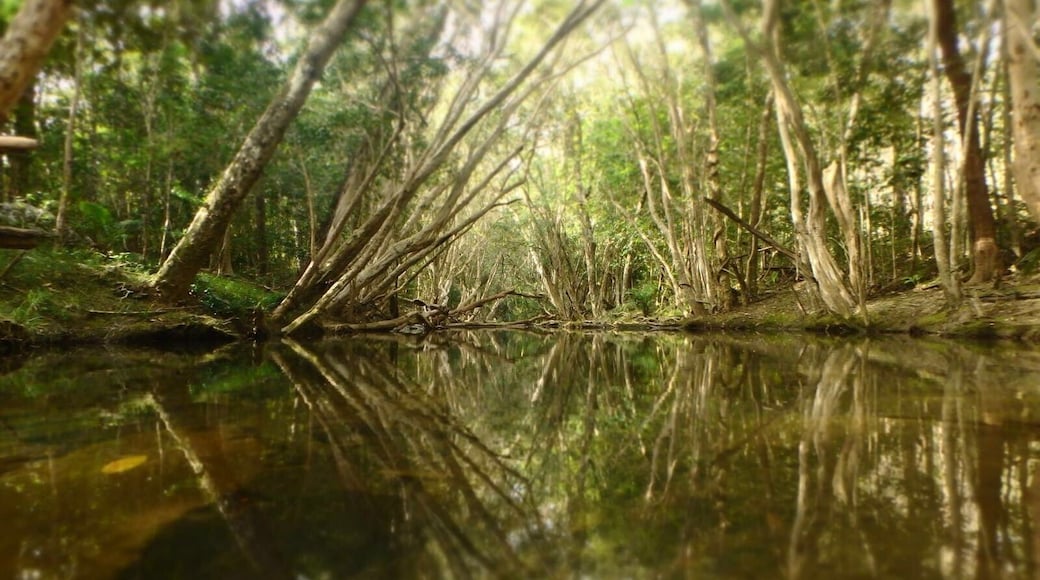 Nice off road tracks around here