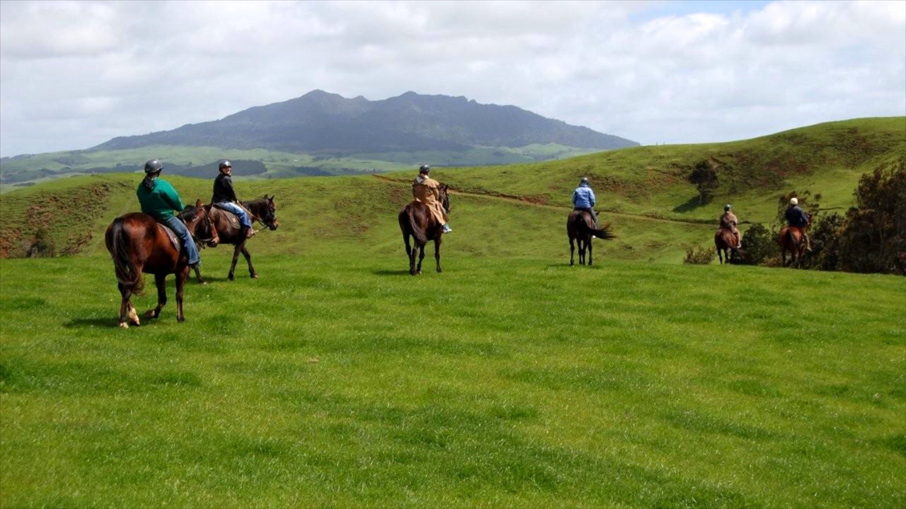 Raglan showing horseriding, land animals and mountains