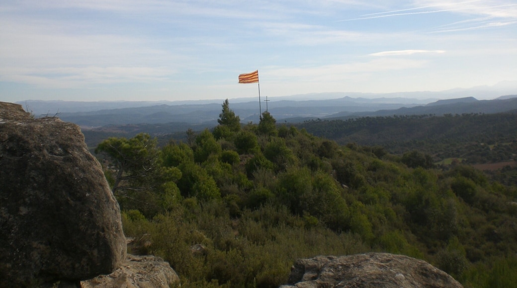 Senyera a la Carena de Cal Patiràs, Navàs (gener 2012)