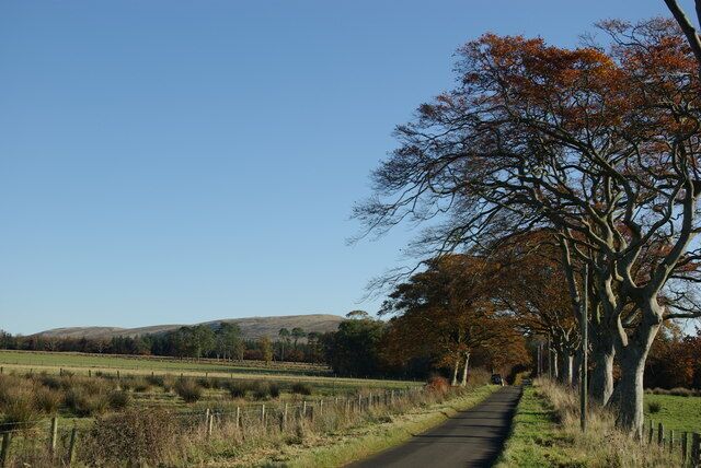 Minor road near Dykeneuk