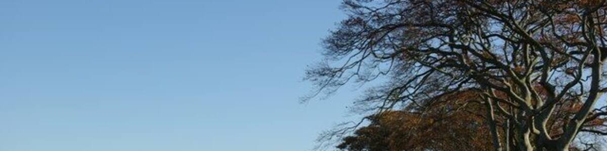 Minor road near Dykeneuk