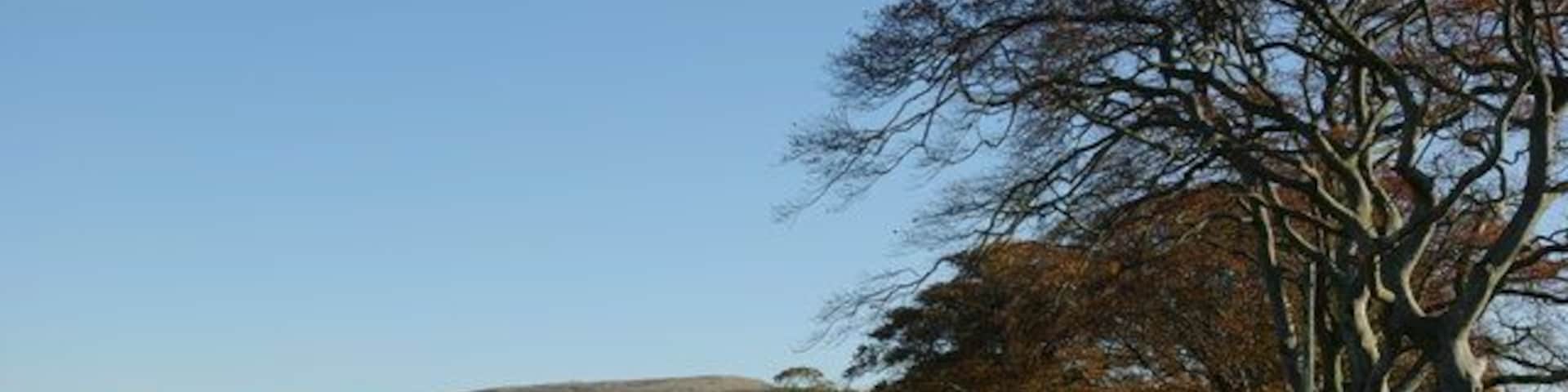 Minor road near Dykeneuk