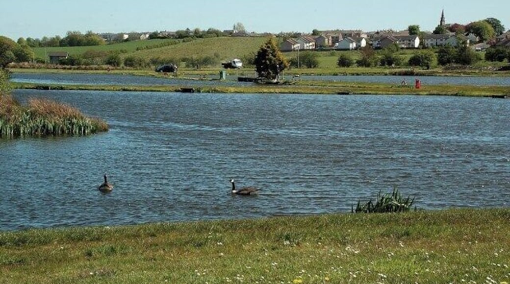 Tarbolton Fishing Lochs The Explorer Map shows the different lochs at the Burns Trout Fishery. The lochs are fed by the Water of Fail.