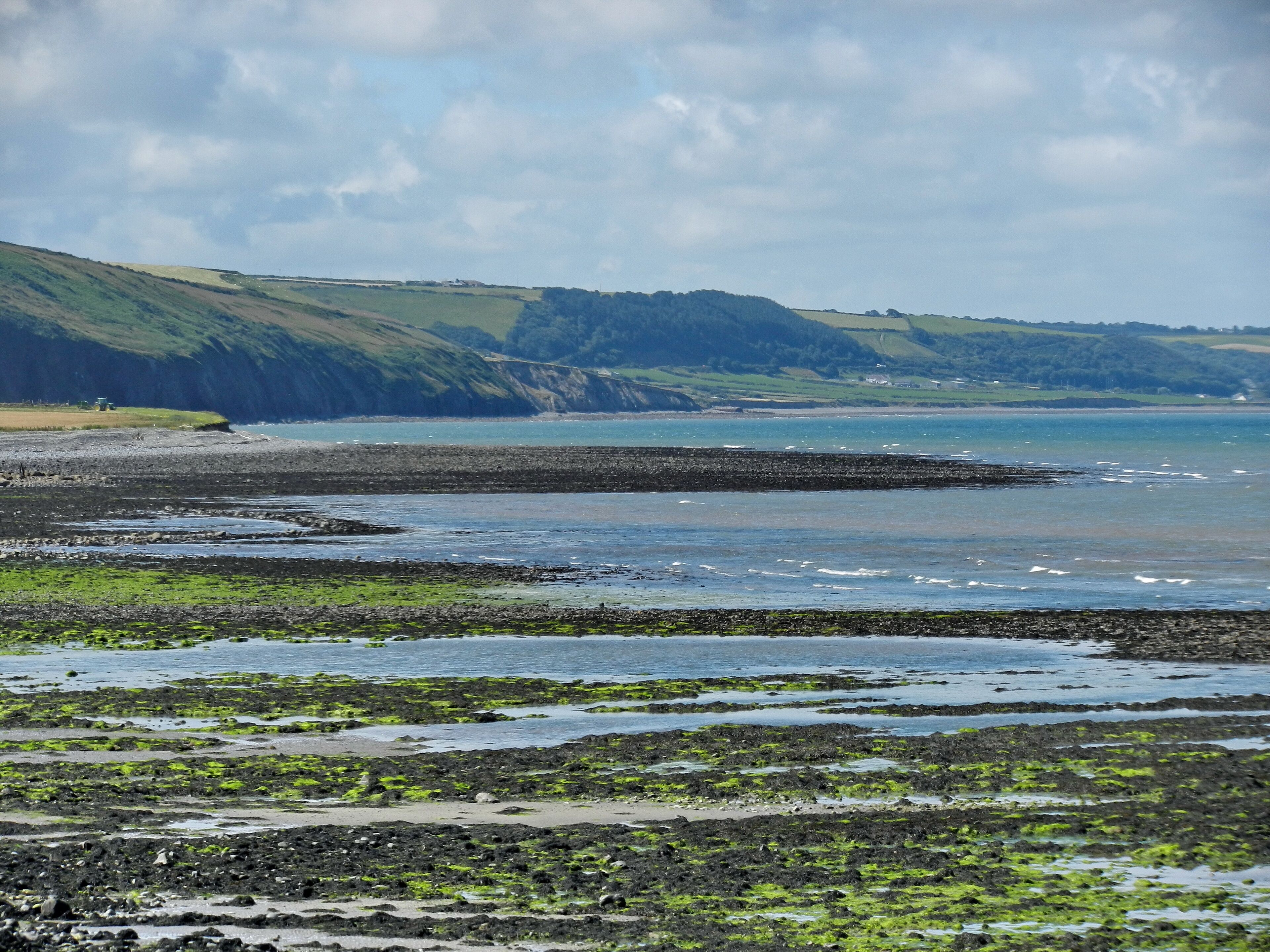 A coastal landscape with rocky shores, green vegetation, and distant hills.
