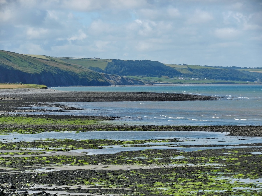 A coastal landscape with rocky shores, green vegetation, and distant hills.