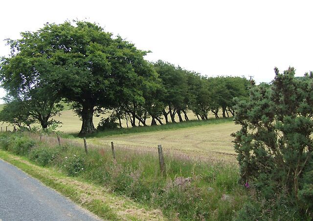Farmland south-west of Bethania, Ceredigion