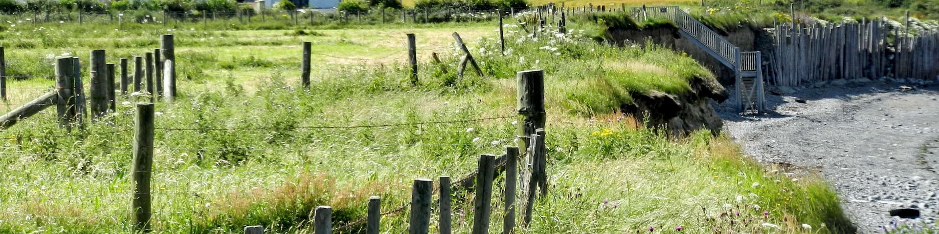 A white house on a grassy hill, a wooden fence, and purple flowers.