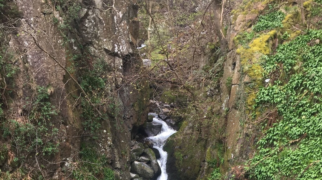 Tillicoultry Glen ... gotta love a waterfall