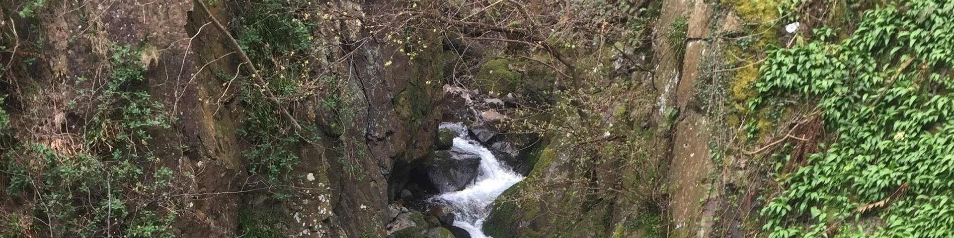Tillicoultry Glen ... gotta love a waterfall