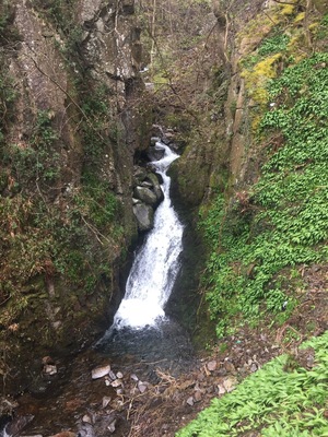 Tillicoultry Glen ... gotta love a waterfall