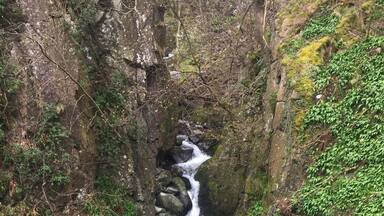 Tillicoultry Glen ... gotta love a waterfall