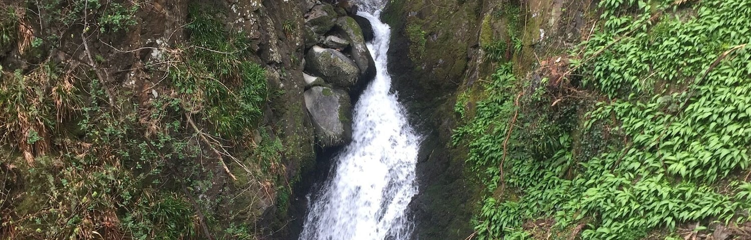 Tillicoultry Glen ... gotta love a waterfall