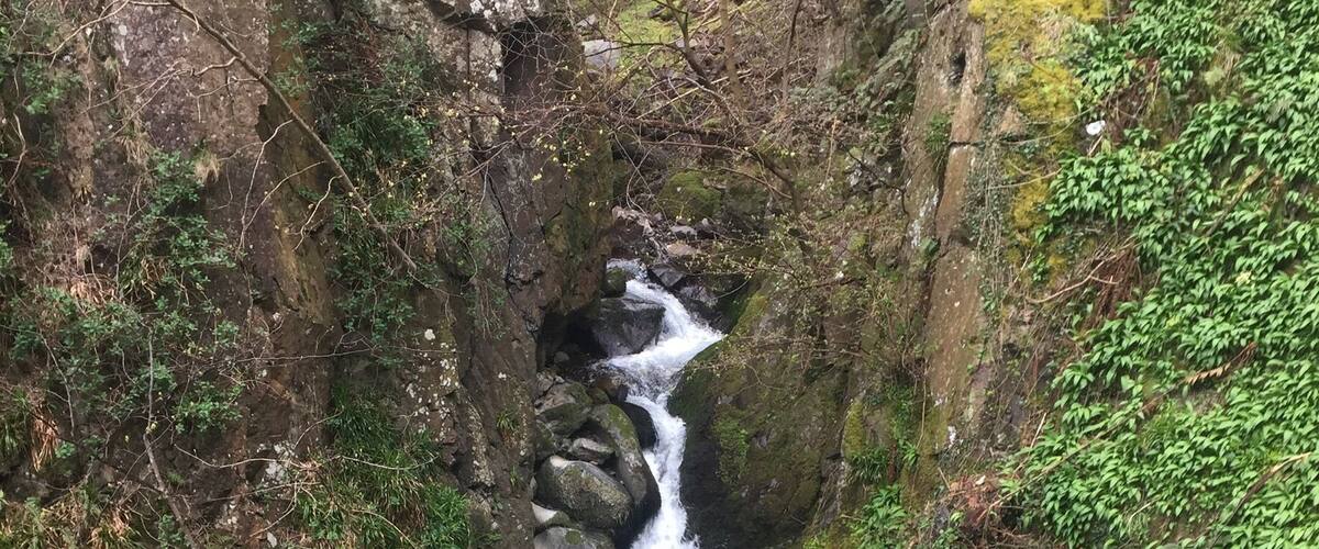 A waterfall cascading down a rocky cliff surrounded by lush greenery.