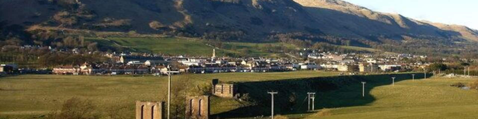 A rural landscape with a bridge, fields, and a town in the valley.