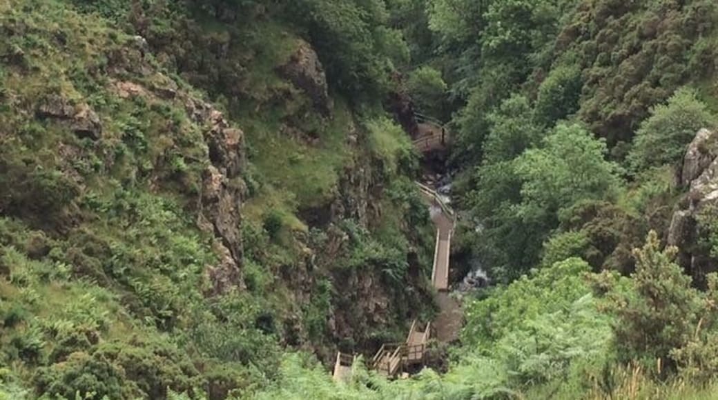 Taken from the top of the Glen.