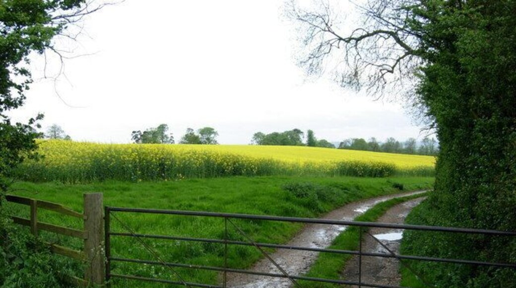 Farmland near West Haddon. Farmland adjacent to the A428 Rugby - Northampton road.