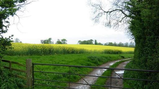 Farmland near West Haddon. Farmland adjacent to the A428 Rugby - Northampton road.