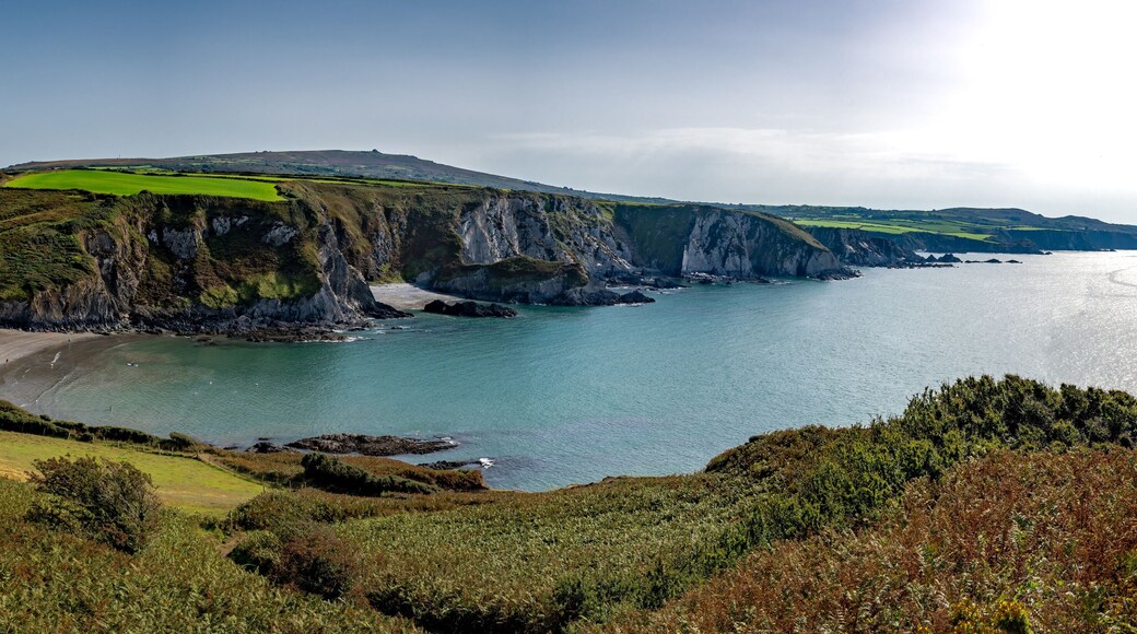 Pwllgwaelod Beach And Dinas Head At The Wild Atlantic Coast Of Pembrokeshire In Wales, United Kingdom