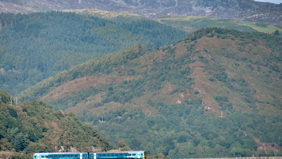 A train on a bridge over water, surrounded by forested hills.