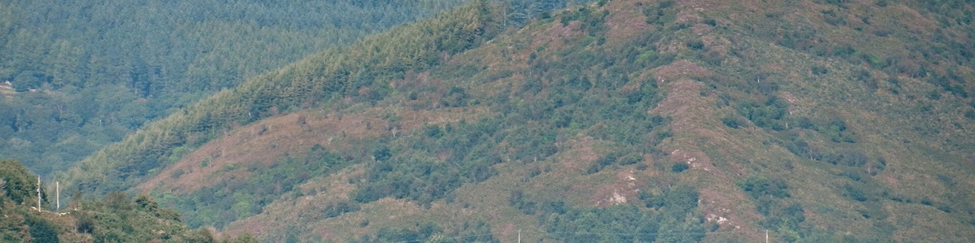 Un tren sobre un puente, cruzando un cuerpo de agua, rodeado de colinas boscosas.