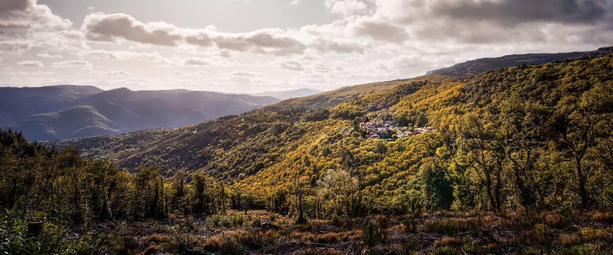 A mountainous landscape with a village nestled among trees.