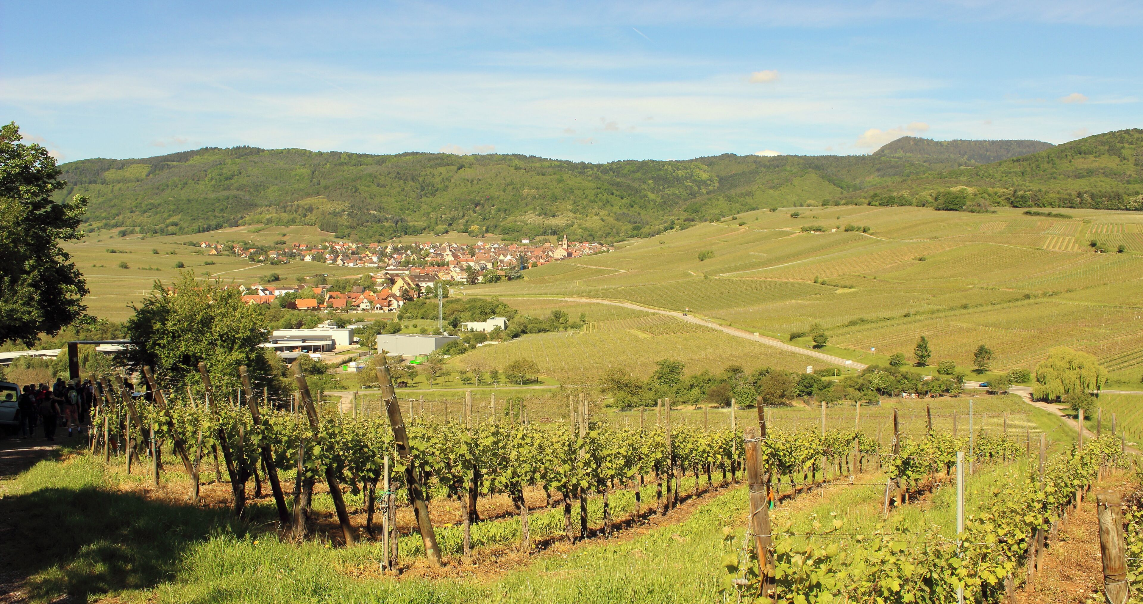 2017-05-21-10-04-12_Les Forts Trotters_au Sentier des Grands Crus