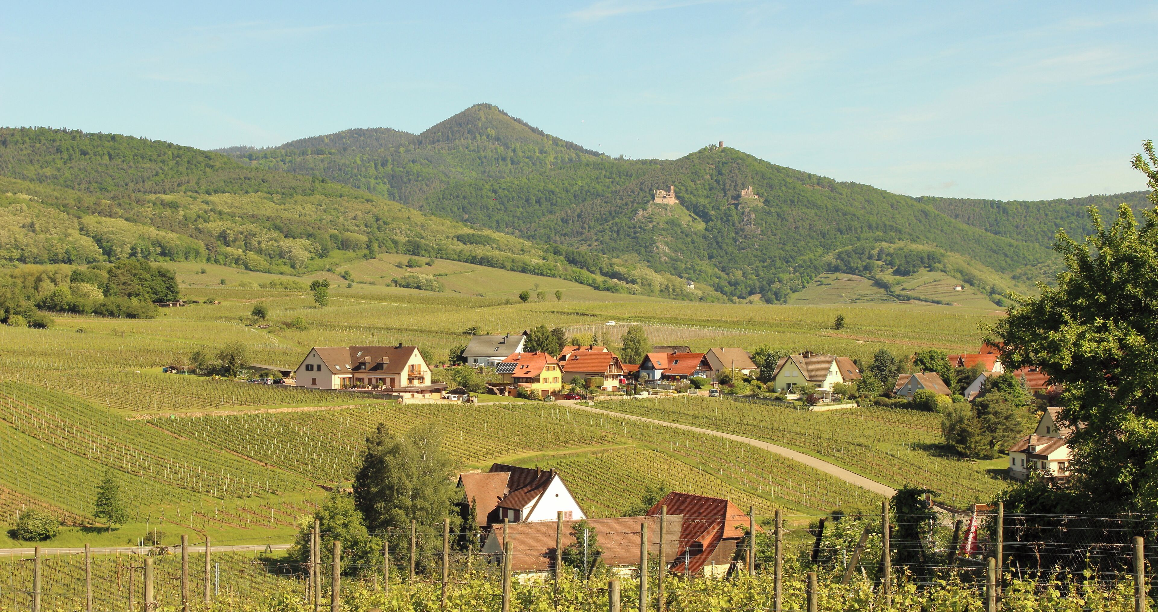 2017-05-21-10-04-18_Les Forts Trotters_au Sentier des Grands Crus