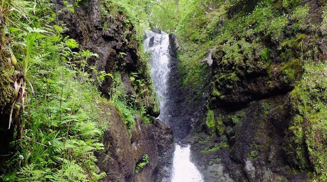 Glenariff Forest Park - spectacular views and ideal for walks.
#hiking #weekendgetaway #BestOf5 #Green