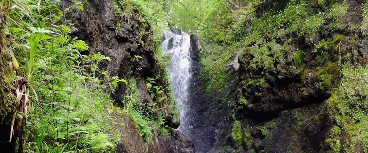 Glenariff Forest Park - spectacular views and ideal for walks.
#hiking #weekendgetaway #BestOf5 #Green