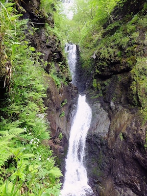 Glenariff Forest Park - spectacular views and ideal for walks.
#hiking #weekendgetaway #BestOf5 #Green