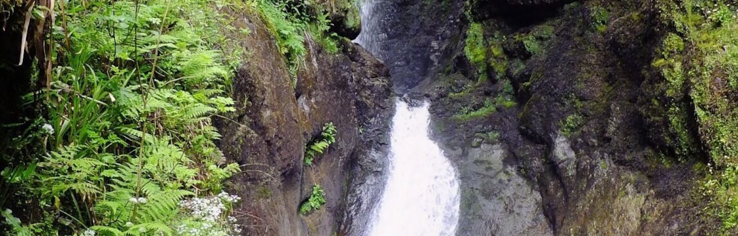 Glenariff Forest Park - spectacular views and ideal for walks.
#hiking #weekendgetaway #BestOf5 #Green