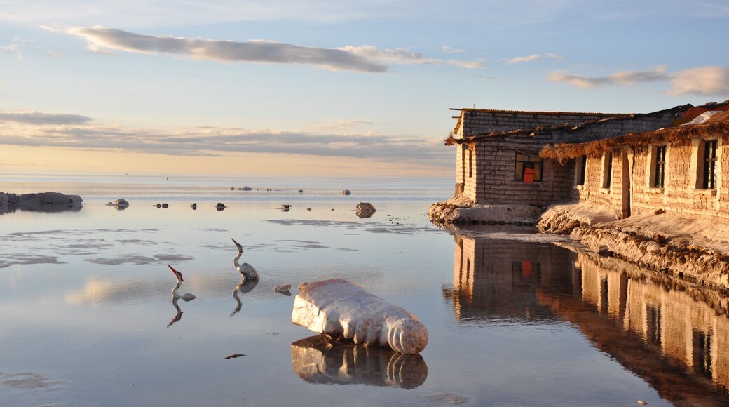 Incredible sunrise at Uyuni, the salt desert and the sky seem to be one !
#bolivia
#culture photo contest #LifeAtExpedia