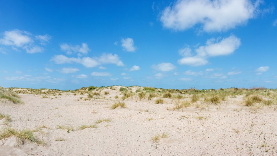 A sandy beach with dunes and sparse vegetation under a clear blue sky.