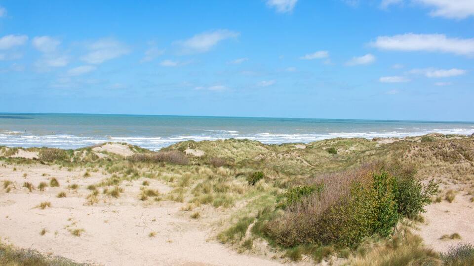 A coastal landscape with dunes and the ocean.