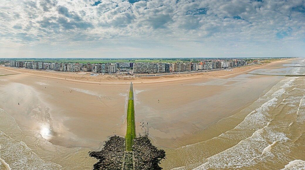 Drone panorama over the beach of the Belgian coastal town of Middelkerke at low tide with breakwaters during the day