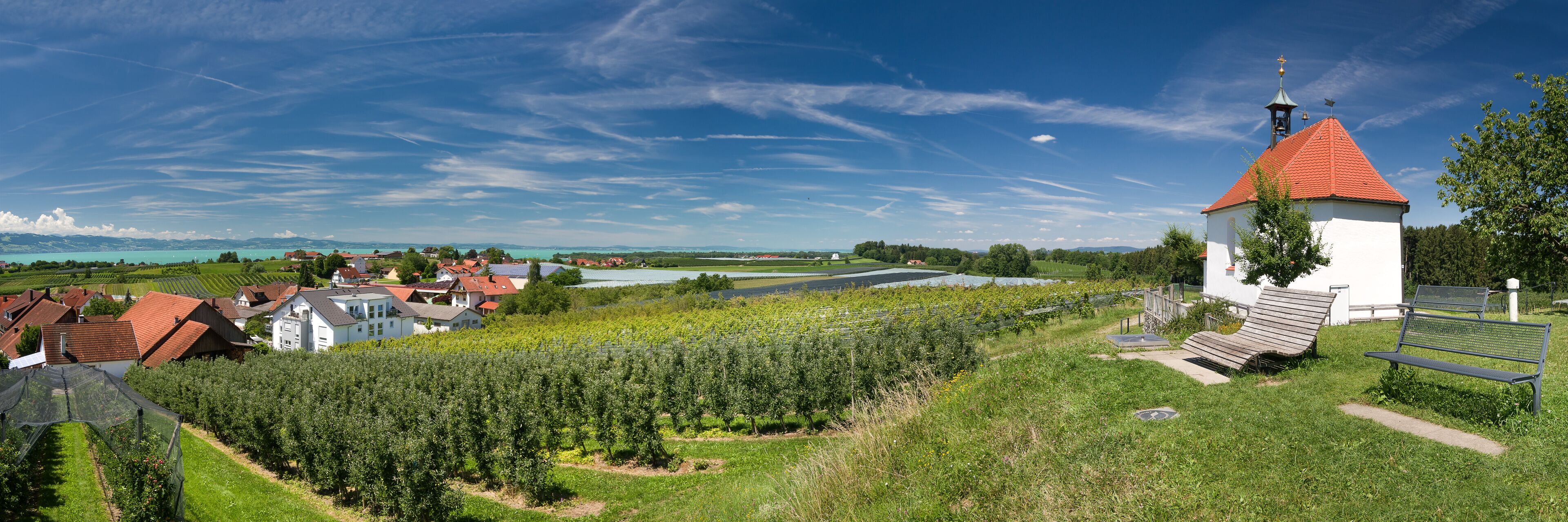 A vineyard, a church with a red roof, and houses with red roofs in a rural landscape.