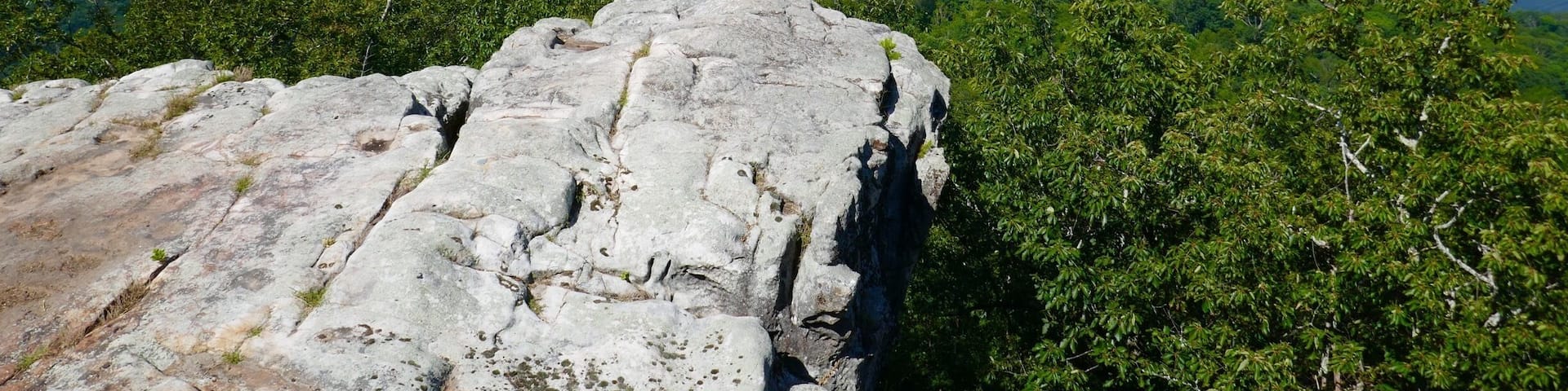 An easy hike with gorgeous views