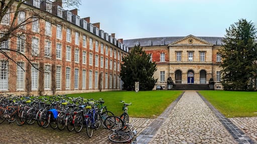 Panorama of Pauscollege or Pope’s College in Leuven, Blegium, founded in 1523 for theology students