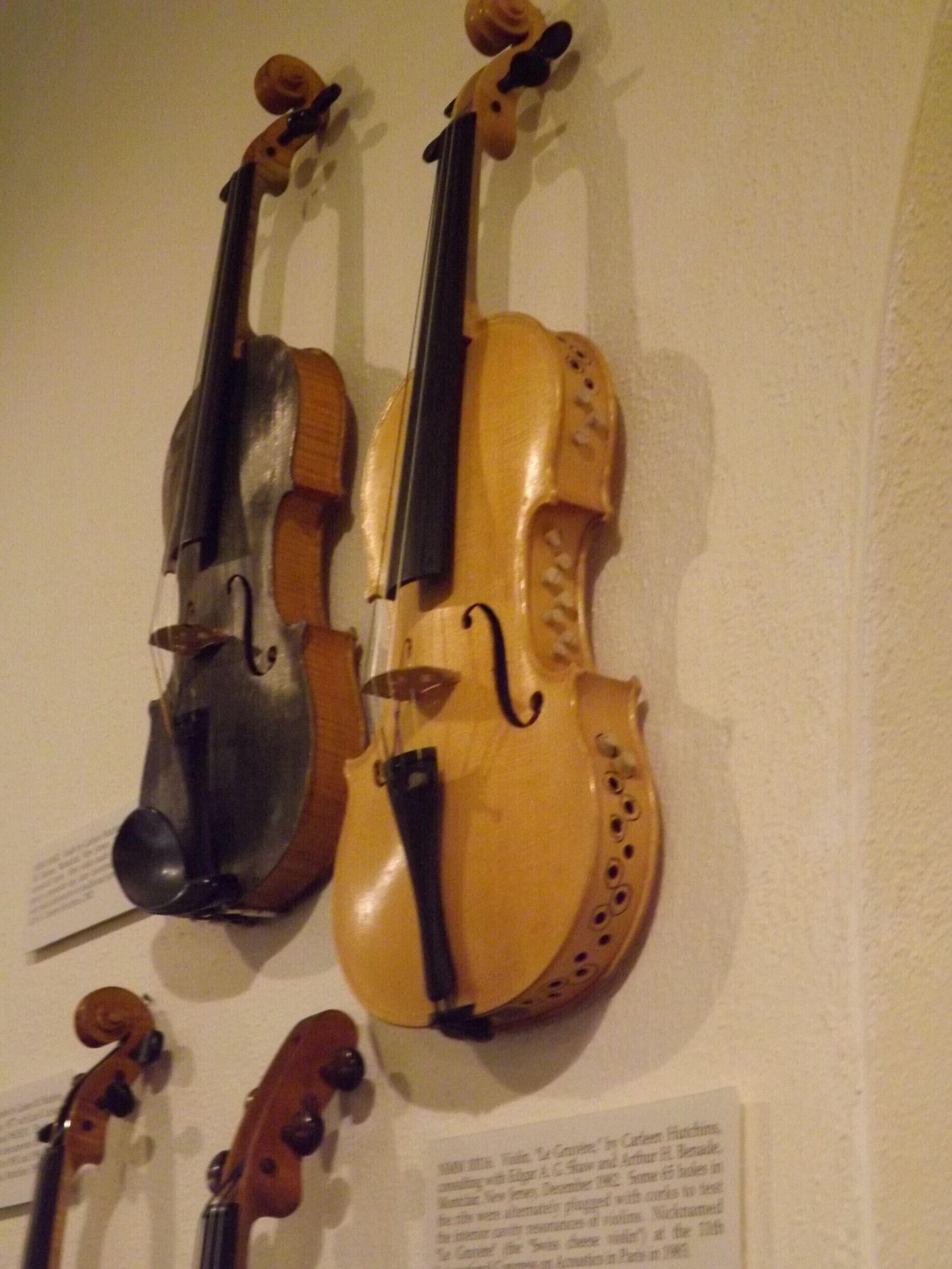 "Le Gruyere" Swiss cheese violin