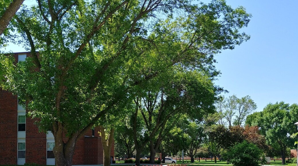 Beautiful day on a beautiful campus.