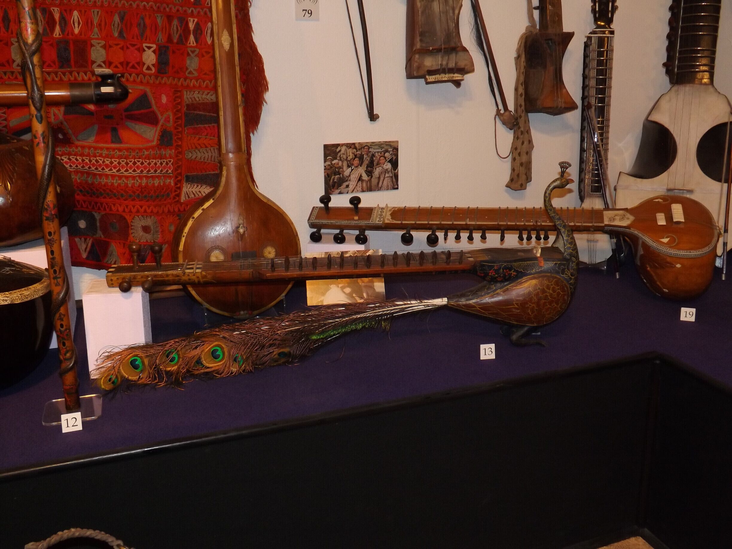 Doesn't everyone need a musical peacock?