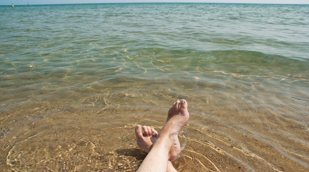 Summer in the Great Lakes