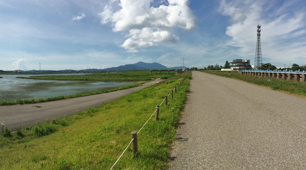 Ookozu-Bunsui(性æČłæŽ„ćæ°Ž)